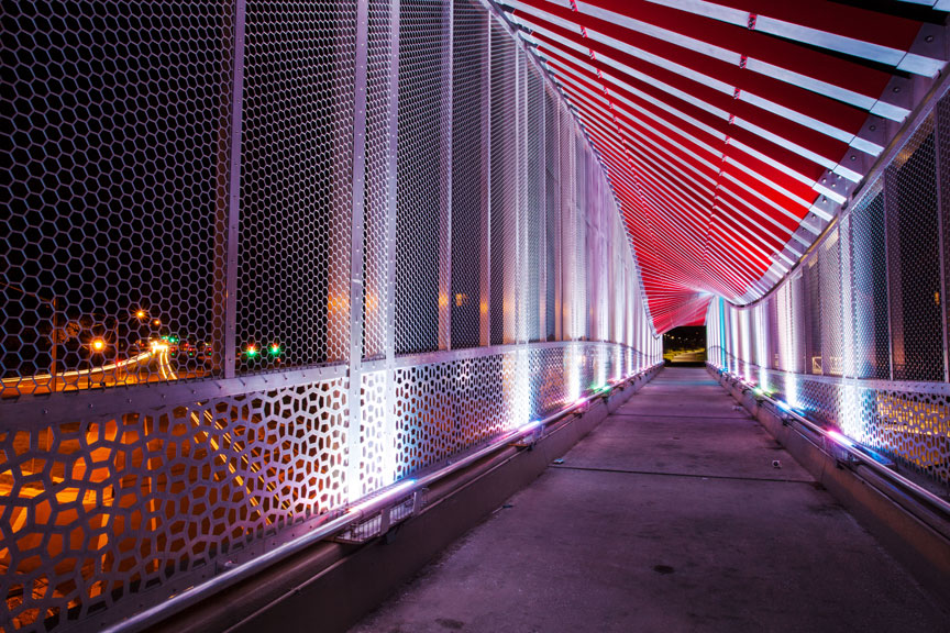 DNA Bridge in Gainesville, FL