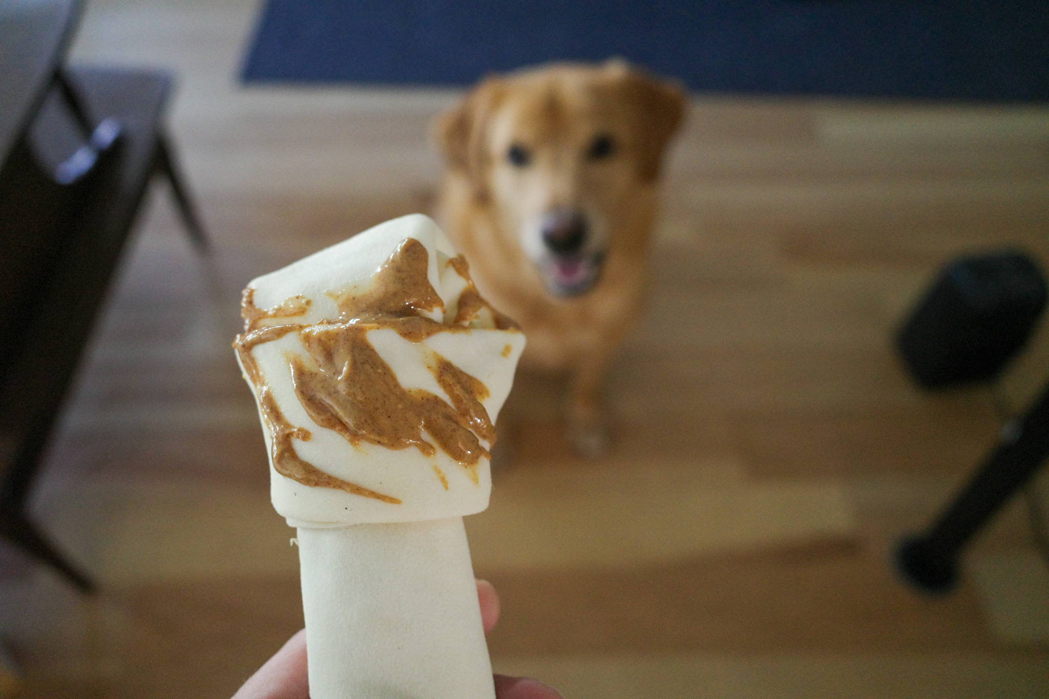 Teddy is a fan of adding peanut butter to bones.