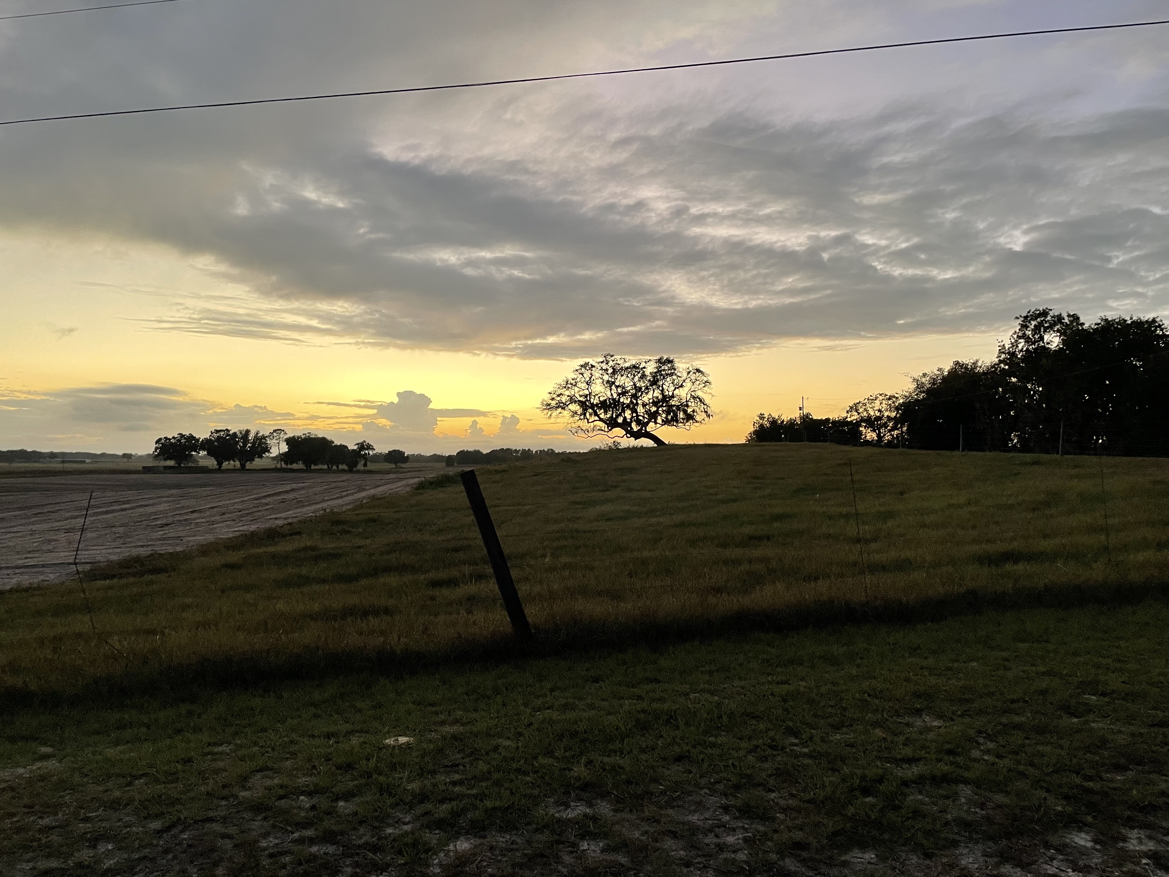 UF's Rosemary Hill Observatory under early night sky