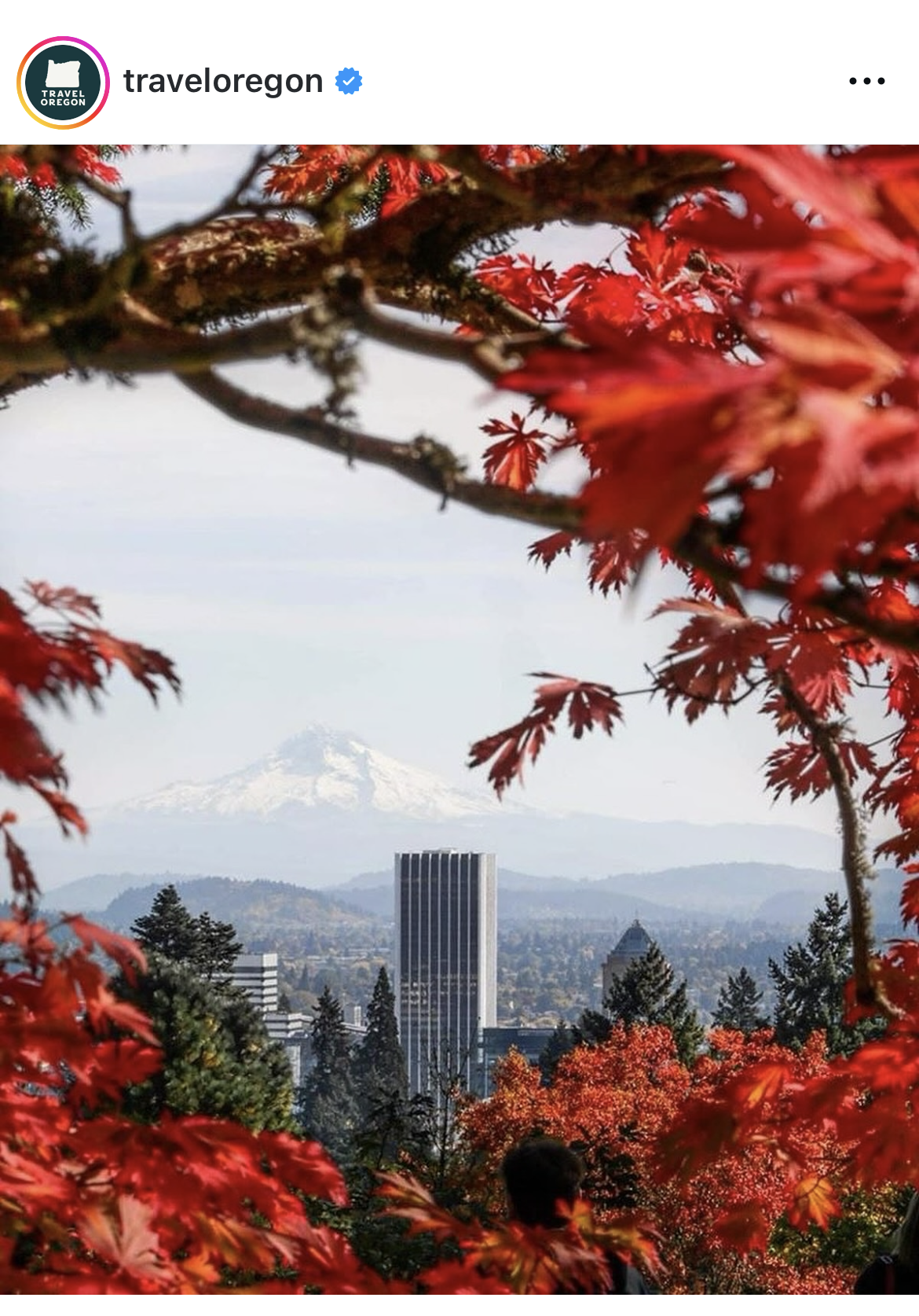 Downtown Portland seen through red autumn leaves