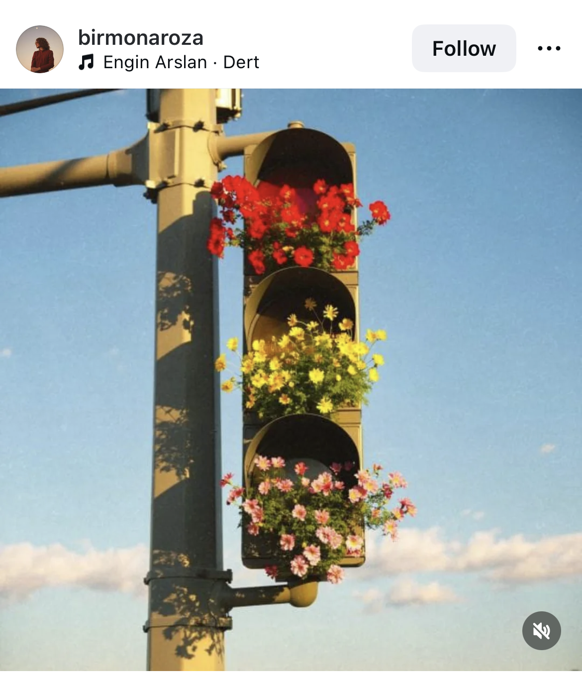 Stoplight with flower blooms instead of lights
