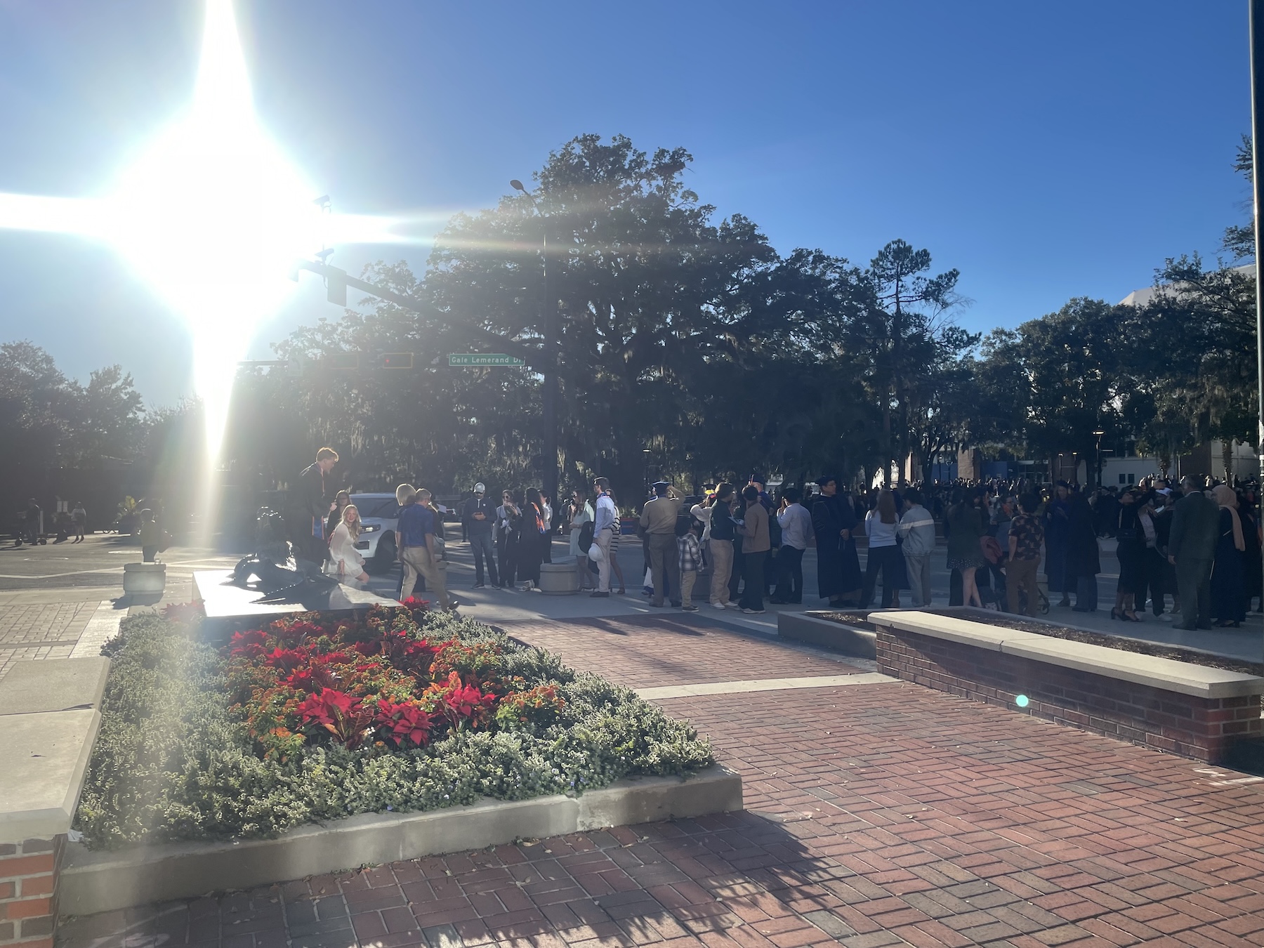 Graduation crowd gathered near the stadium, people lining up for photos with a gator statue