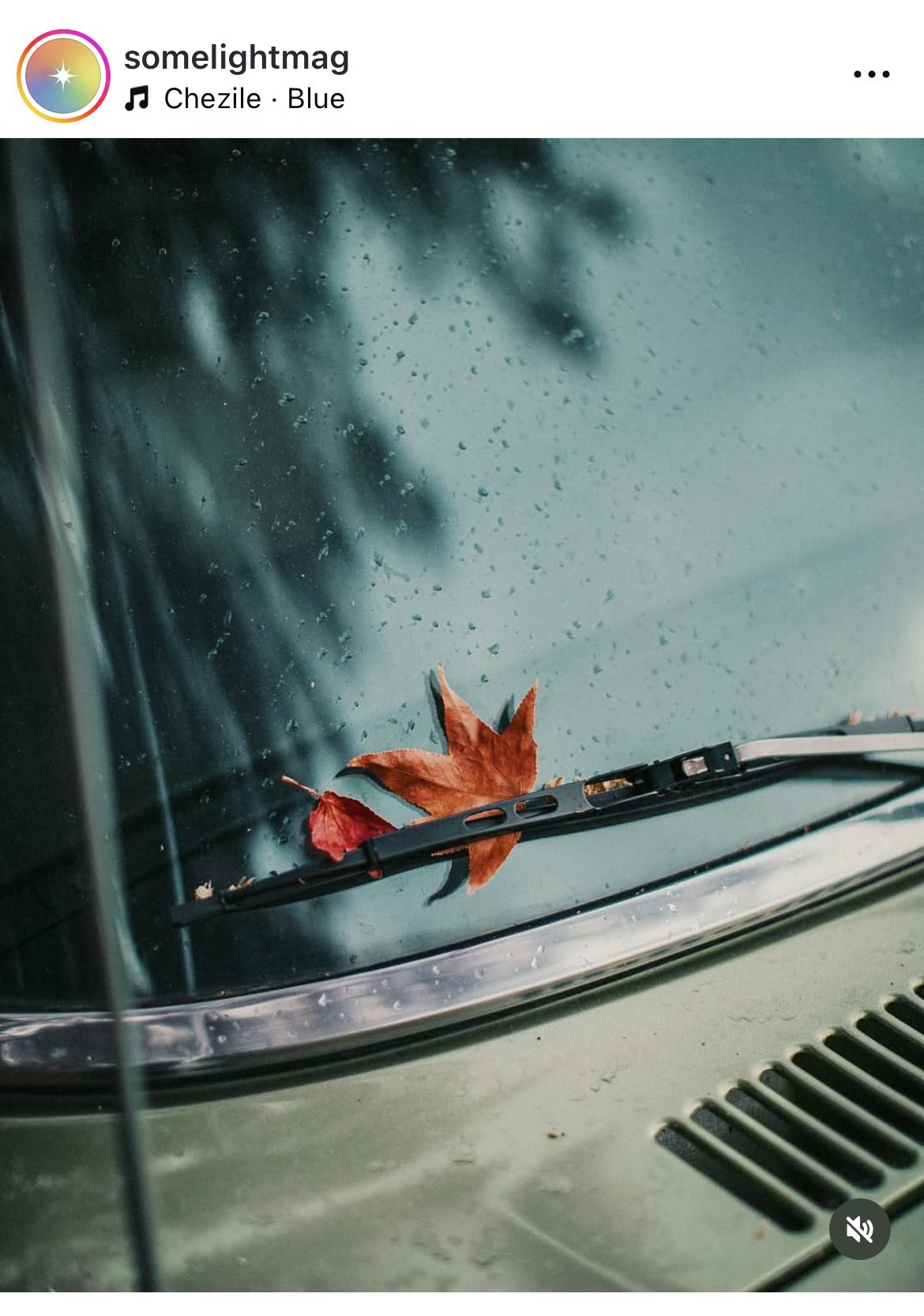 A single red leaf resting on a rain-covered windshield