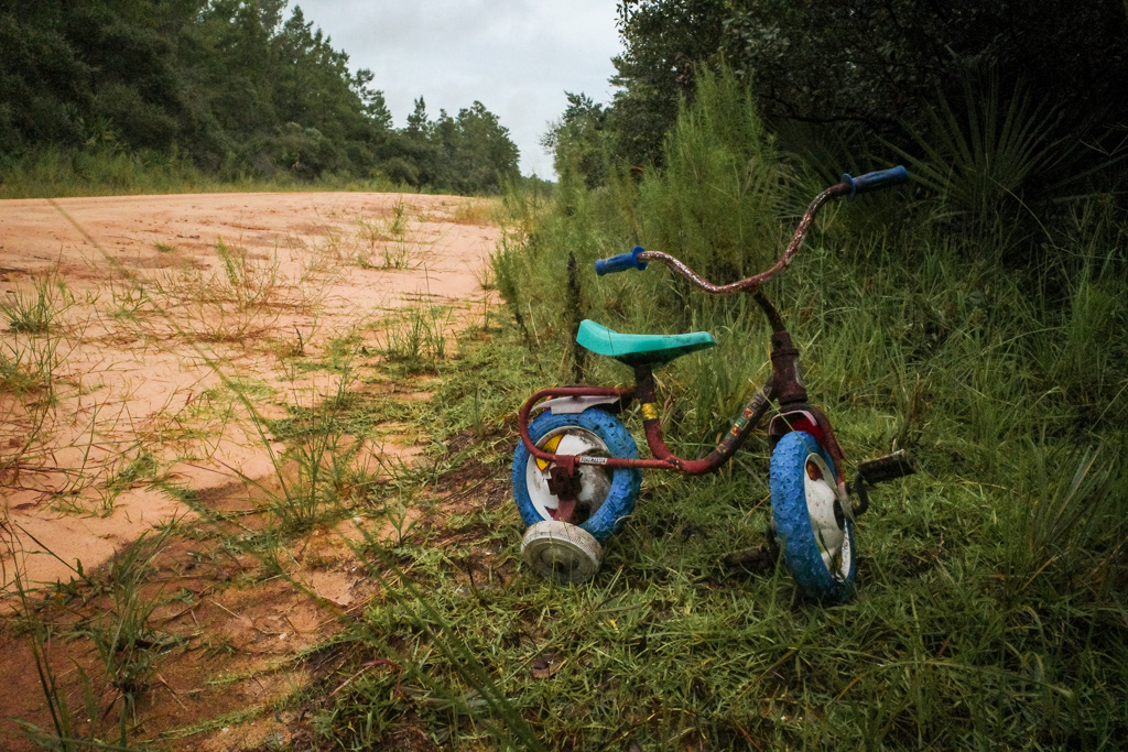 A rusted kids toy bicycle on the side of a Forest Road in Ocala National Forest